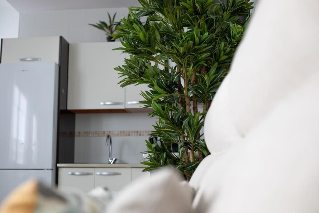 Trinidad Aparment Apartment มาลากา ภายนอก รูปภาพ